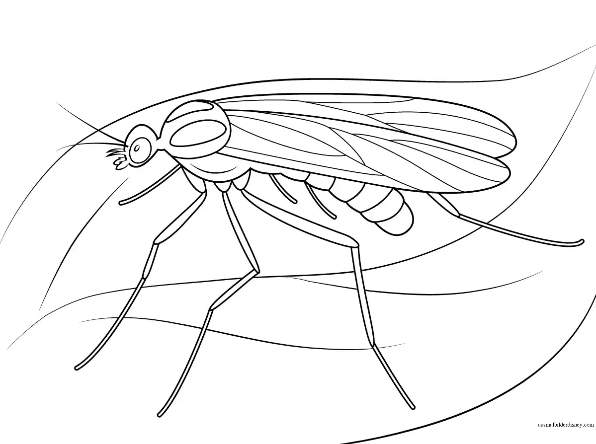 Комар для раскрашивания для дошкольников