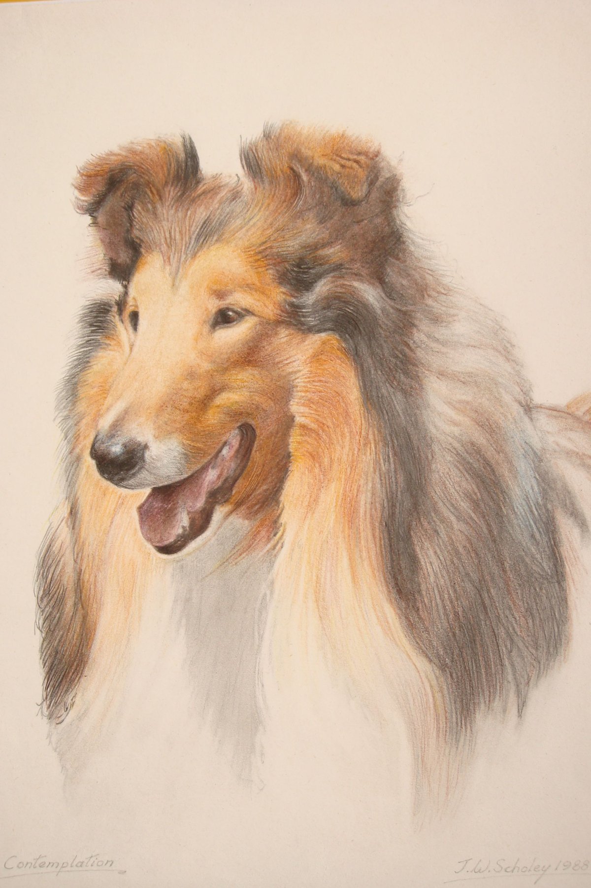 Лэсси фильм 2005