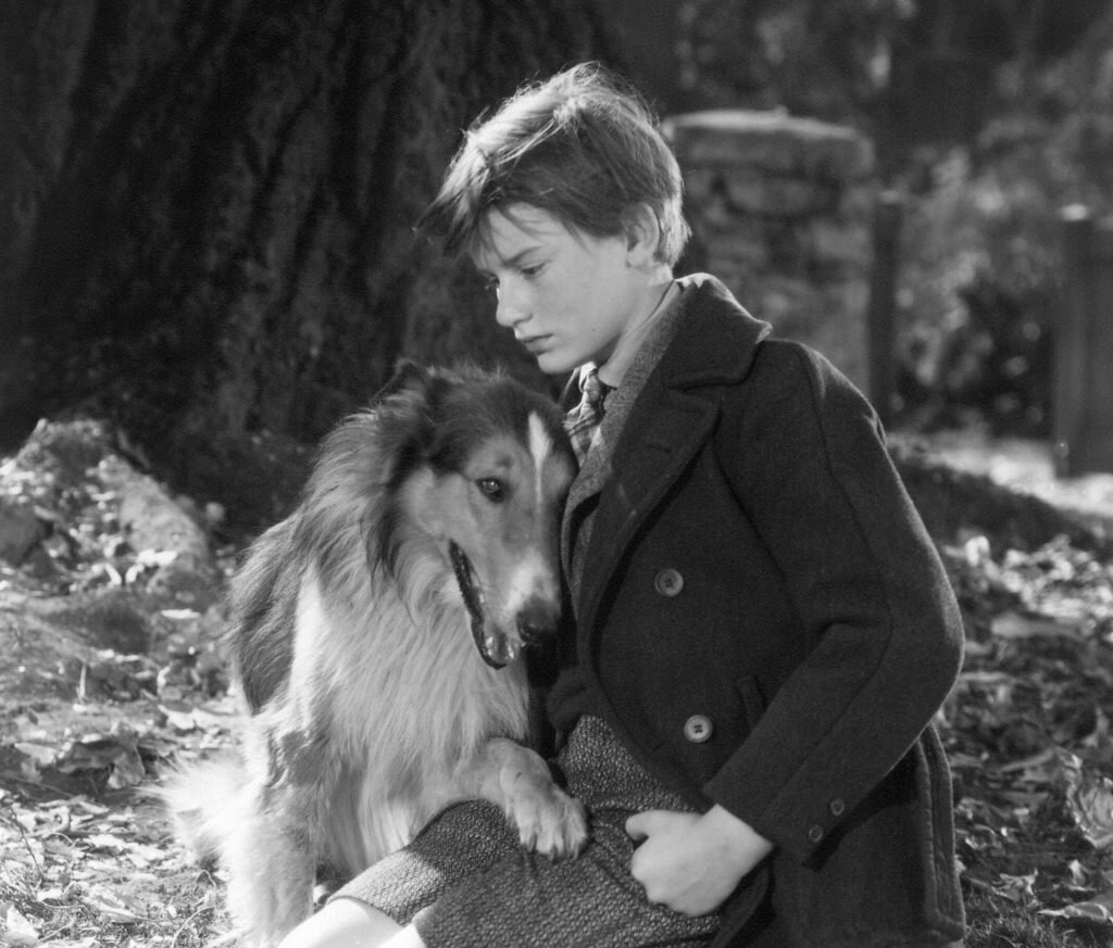 Логотип Инстаграмм белый