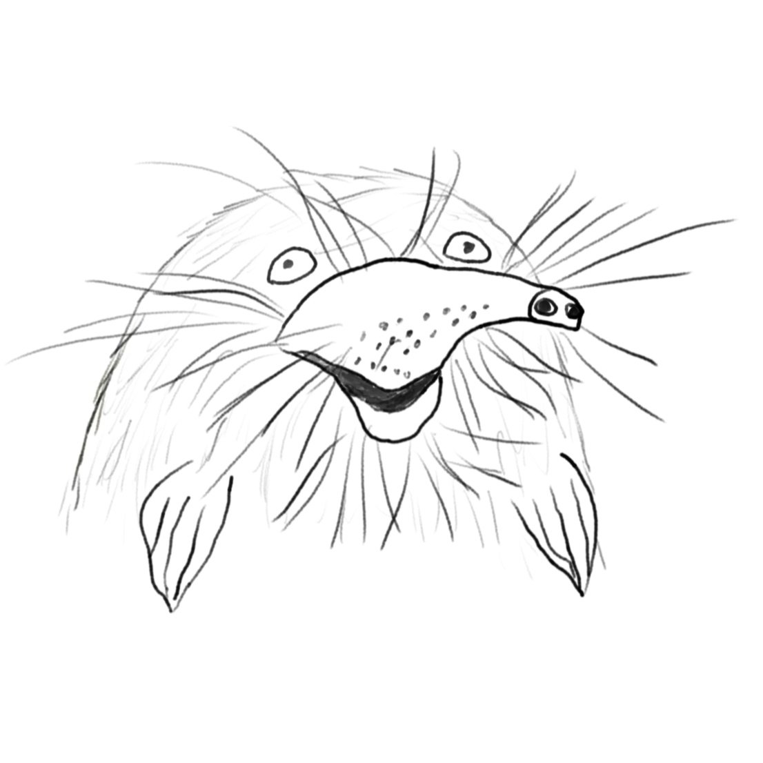 Выхухоль раскраска