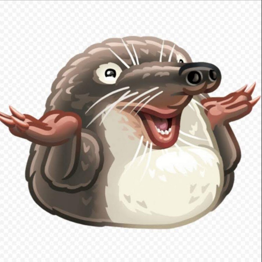 Раскраска мышь полевка