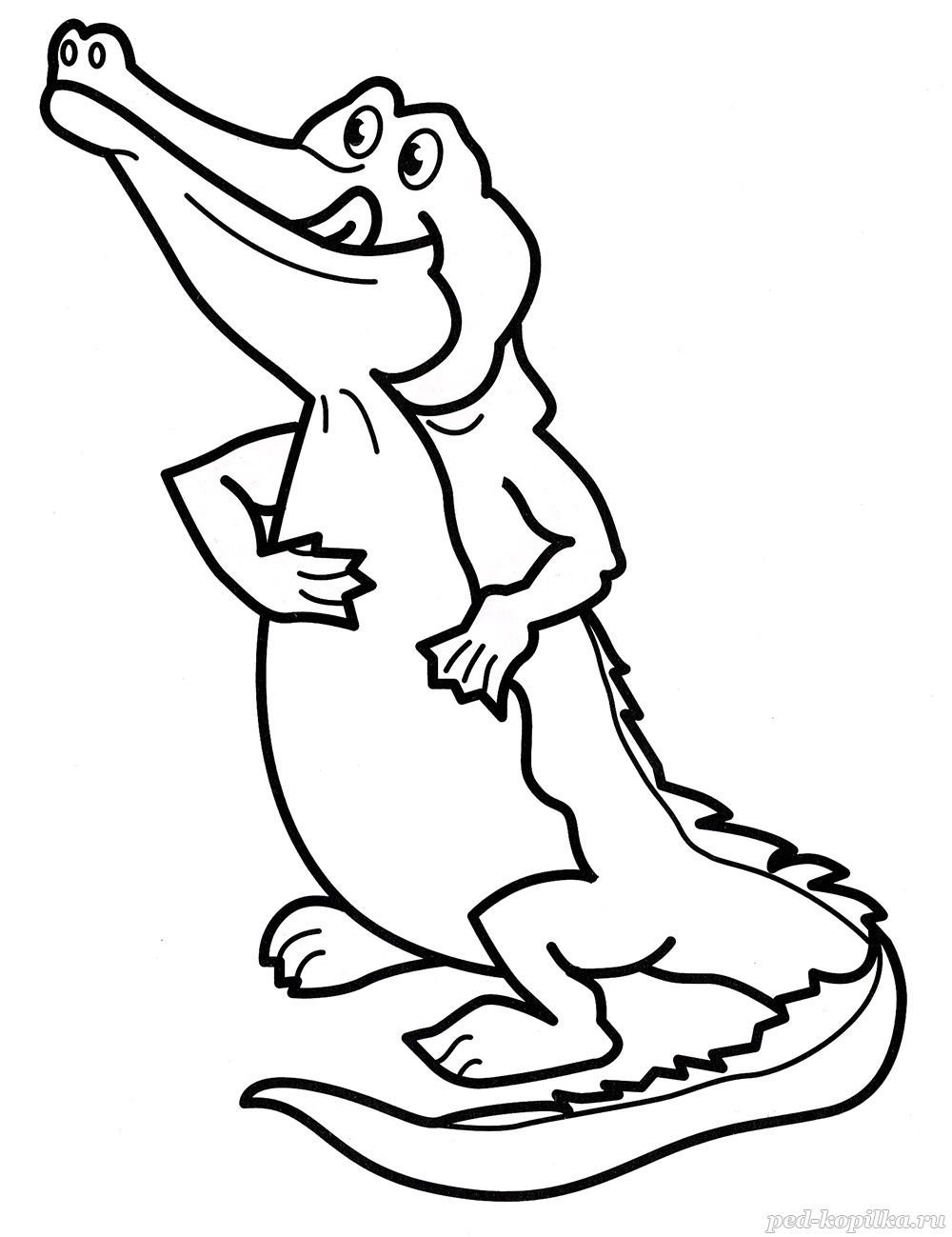 Раскраска крокодил Корнея Чуковского