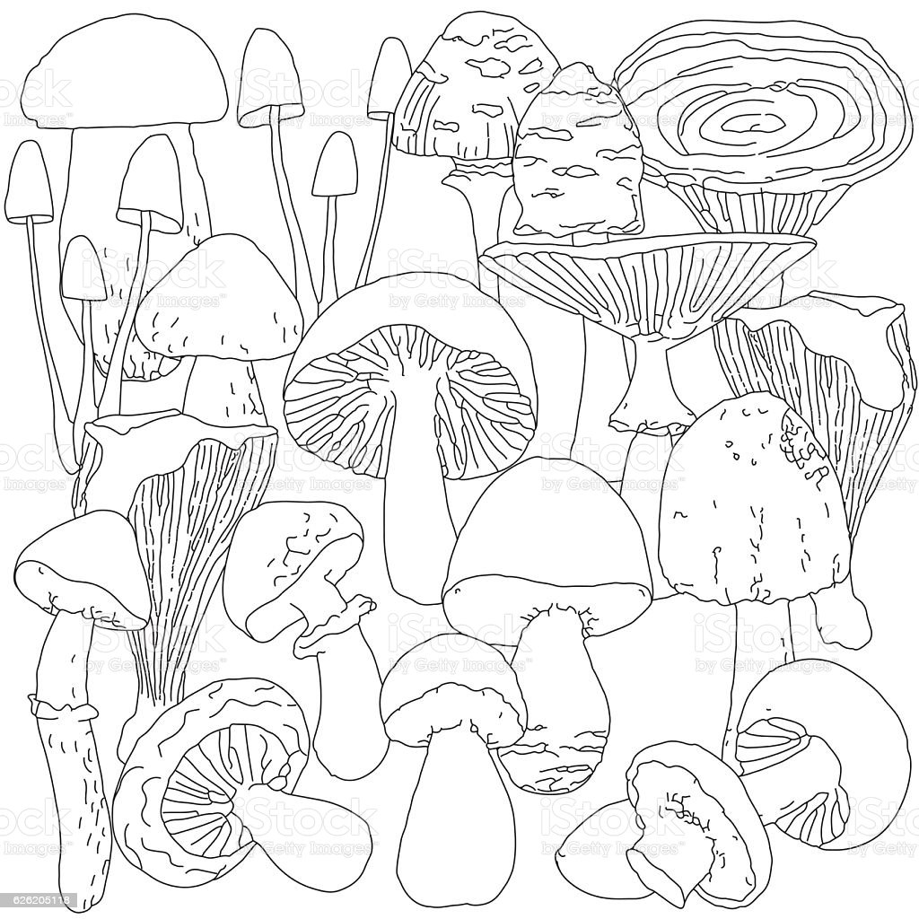 Гриб подосиновик раскраска