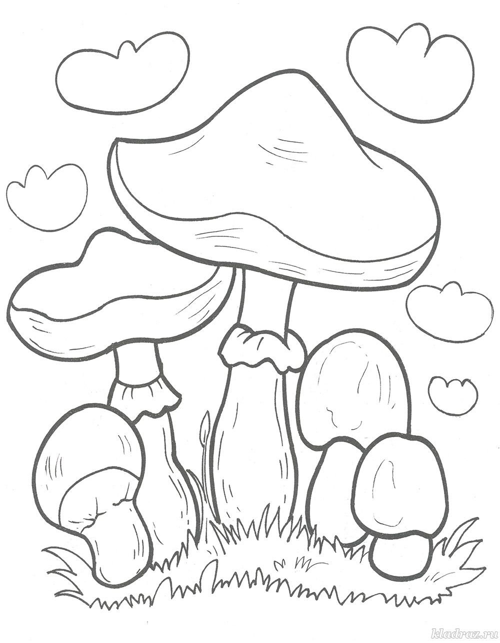 Гриб Боровик раскраска
