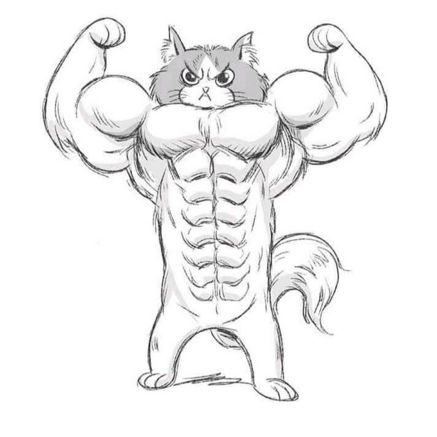 Кот с мускулами