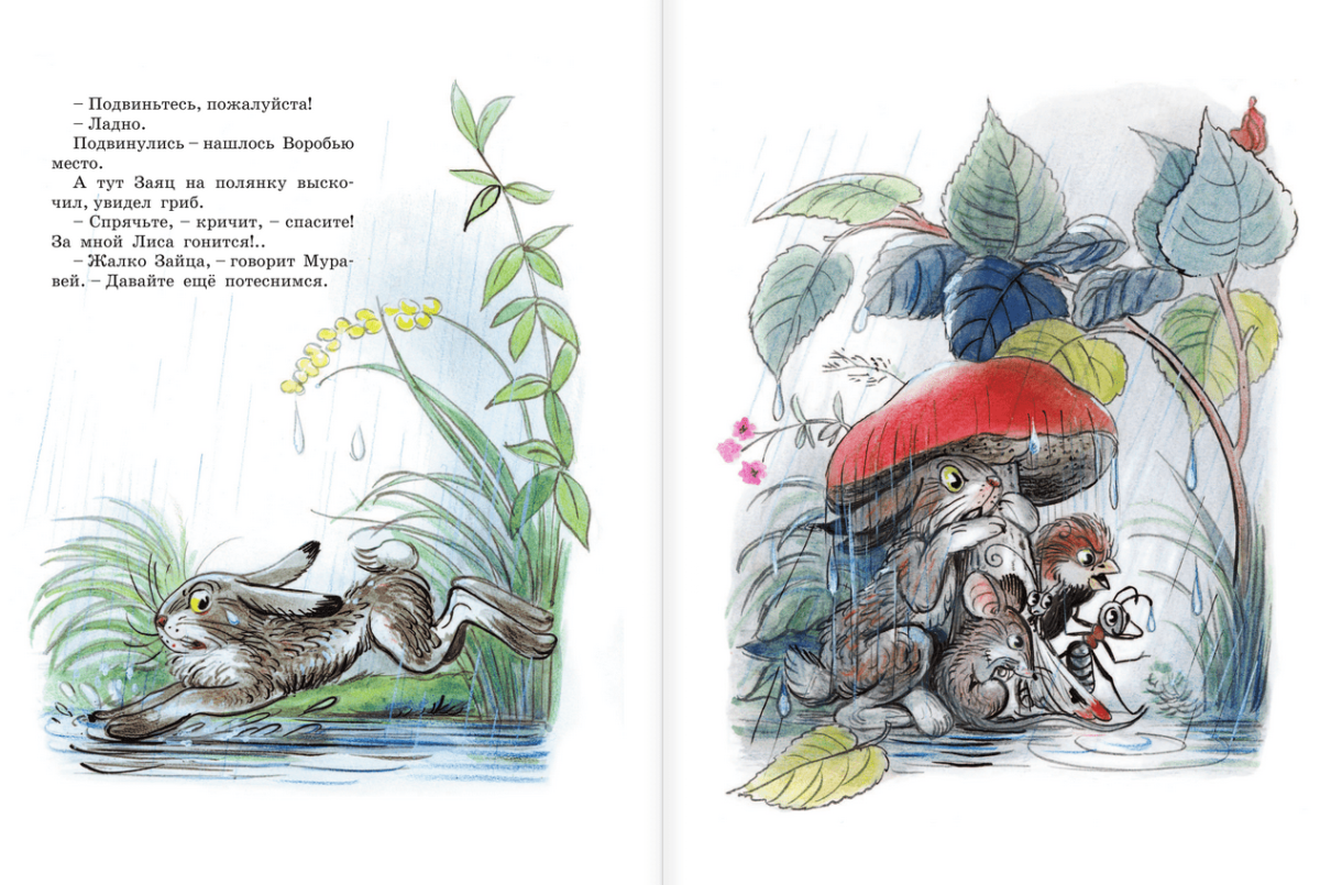 Айболит на стене