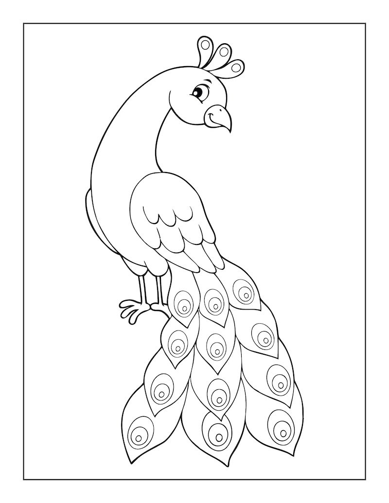 Раскраски Павлин для детей 6-7 лет