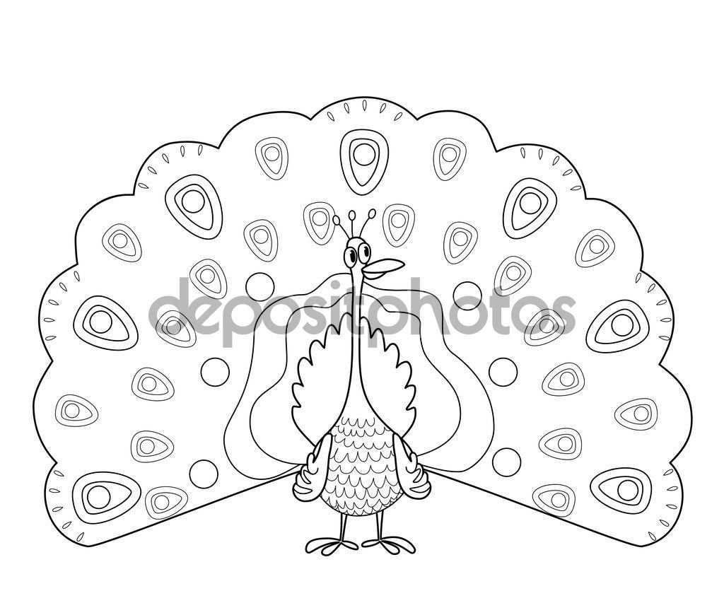 Павлин. Раскраска