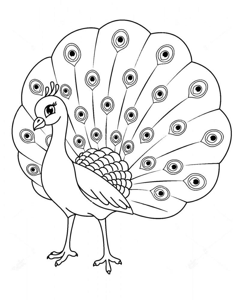 Распечатки черно белые милые Павлин