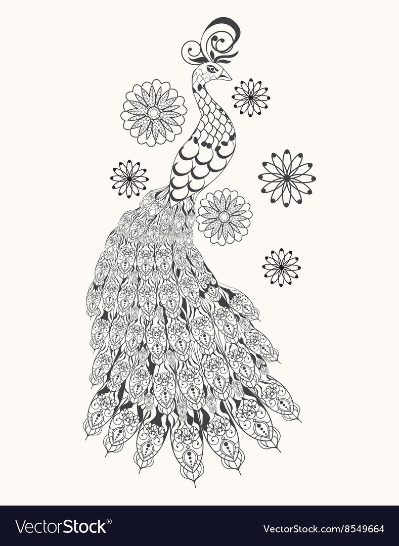 Павлин поделка раскраска