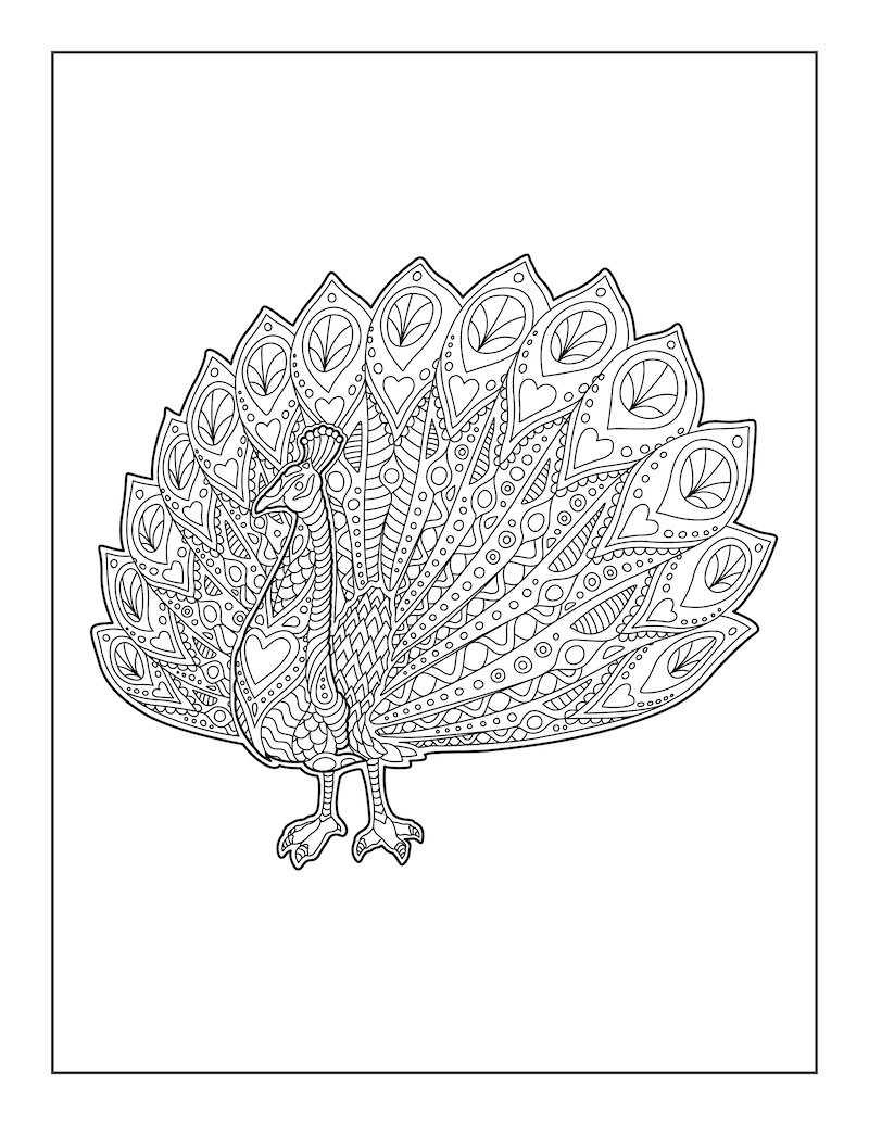 Рисунок павлина