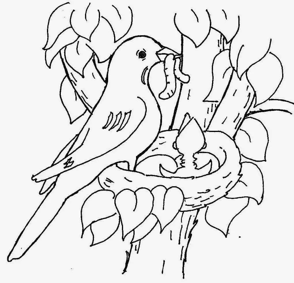 Ласточка раскраска для детей