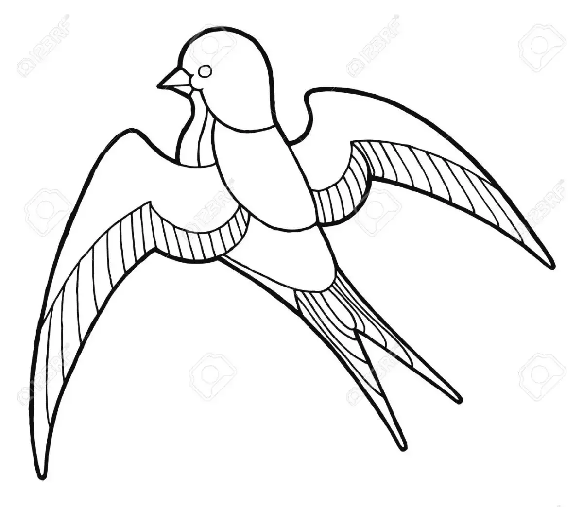 Ласточки на веткираскраска