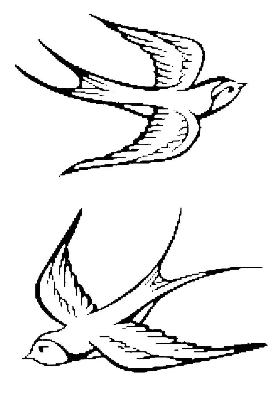 Гнездо ласточки вектор