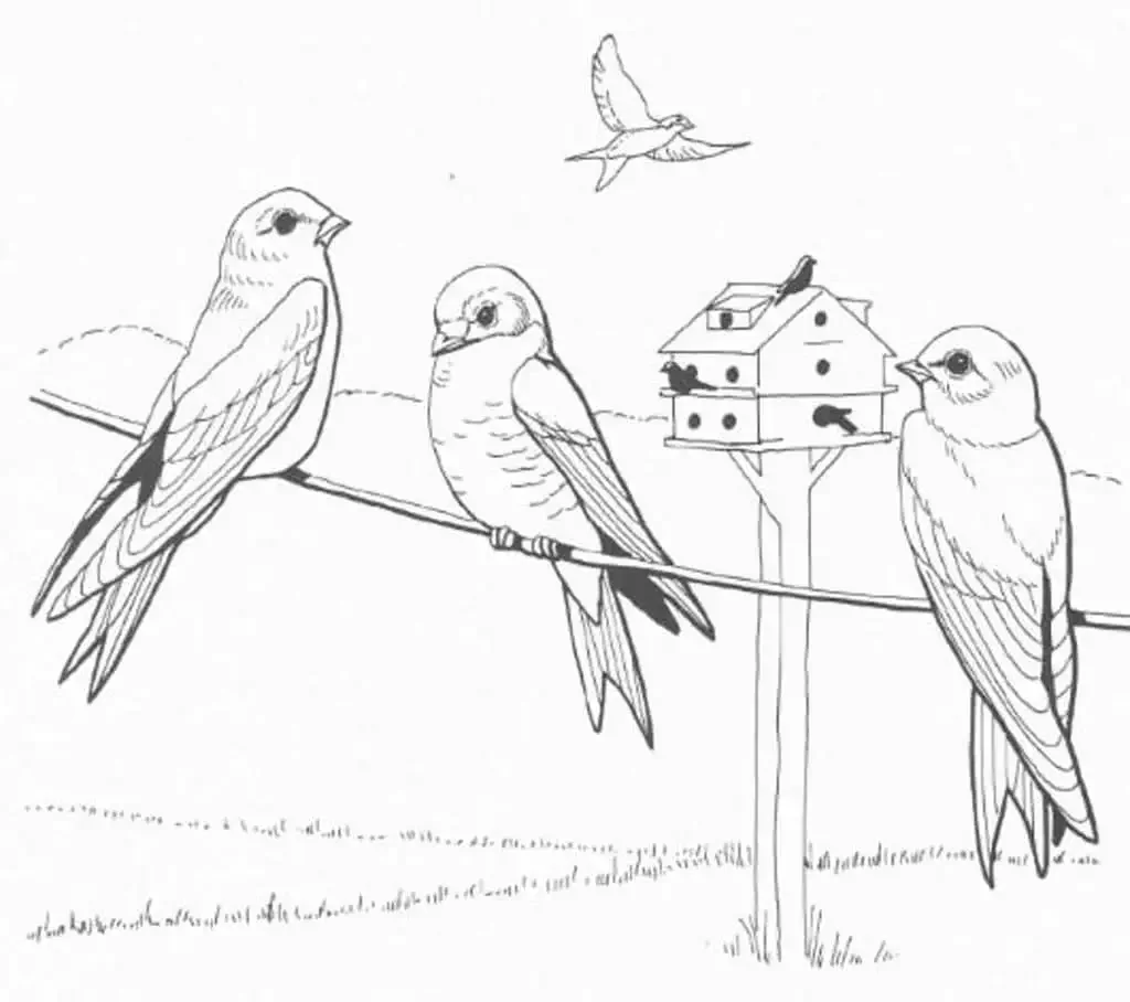 Рисование Ласточка