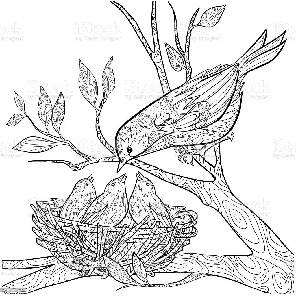 Ласточка с птенцами в гнезде раскраска