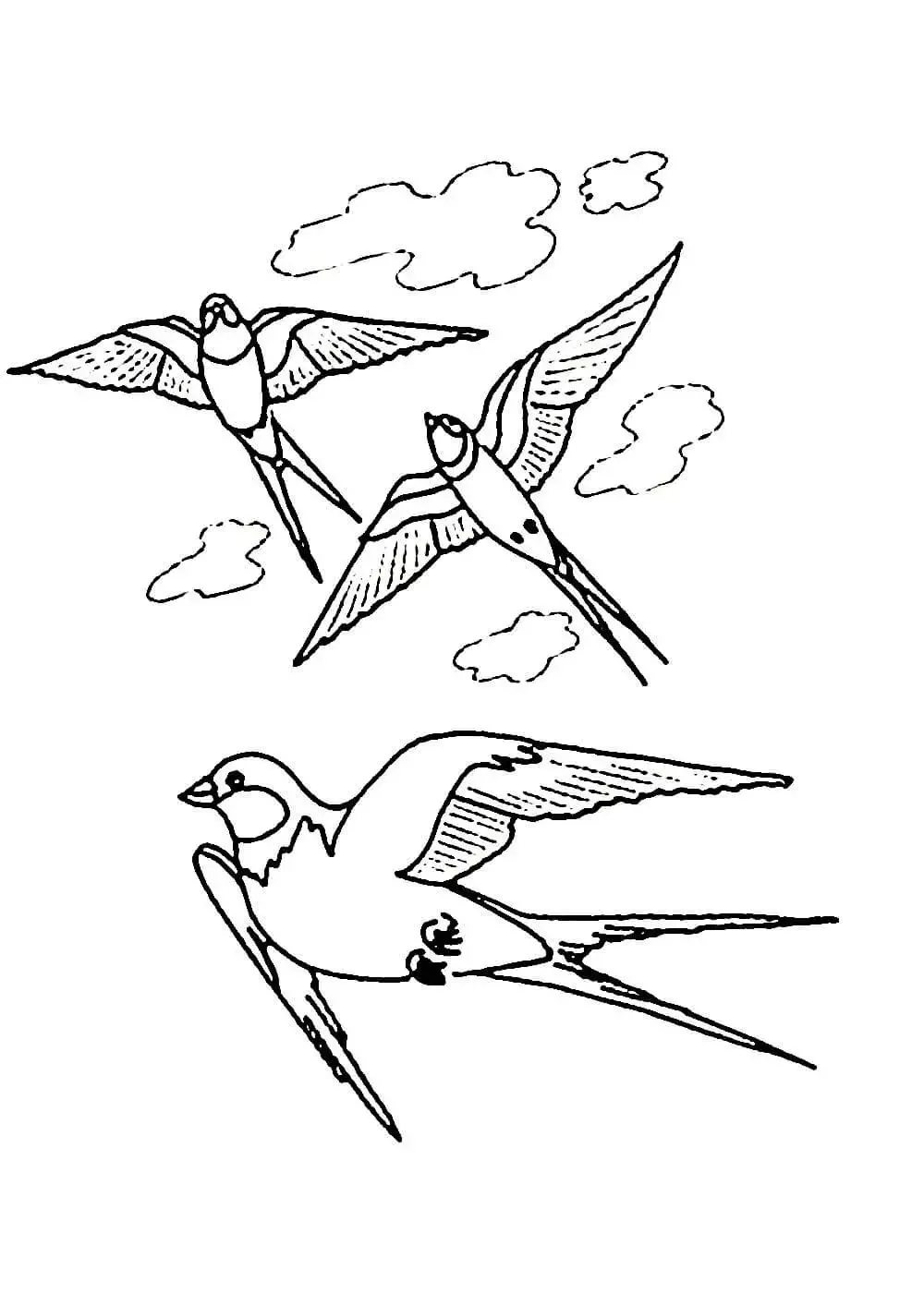 Птичка в гнезде раскраска