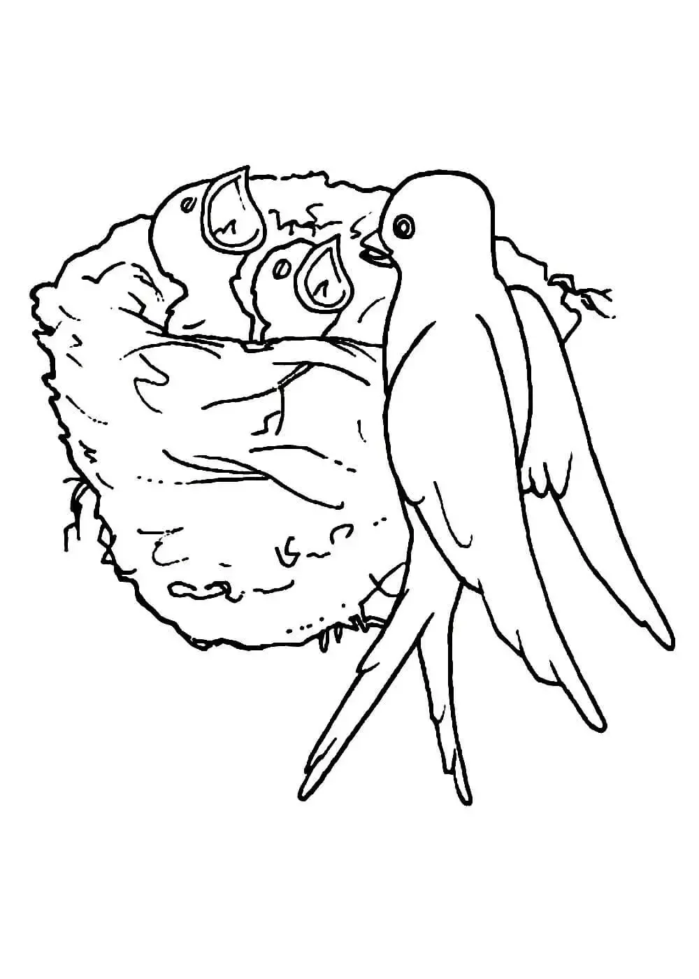 Ласточка раскраска