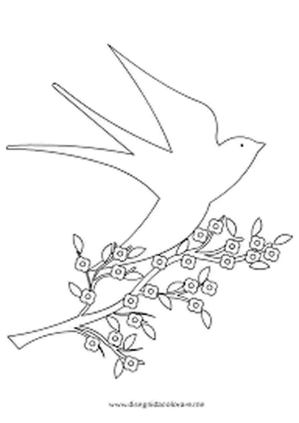 Ласточка раскраска