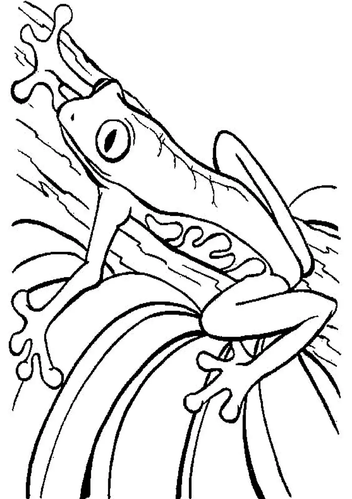 Лягушка черно белая