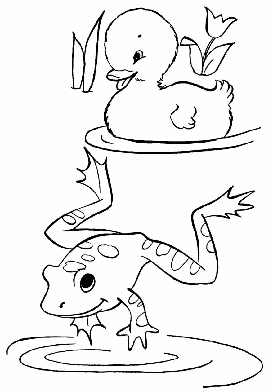 Раскраска Царевна лягушка из сказки