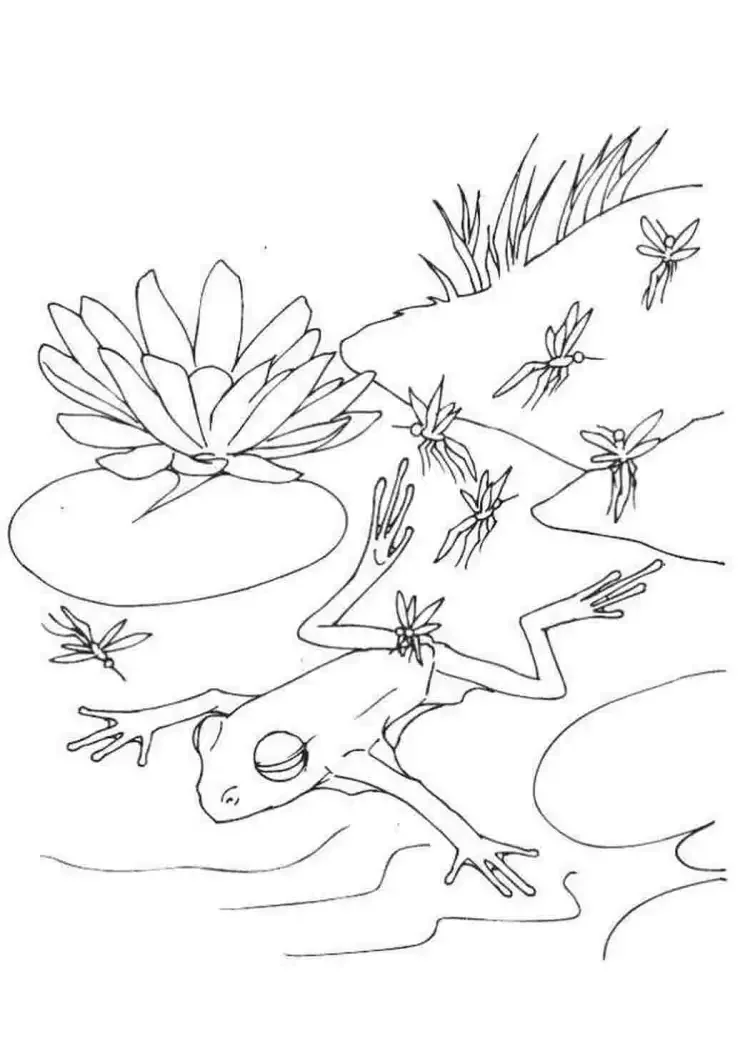 Лягушки мультяшные