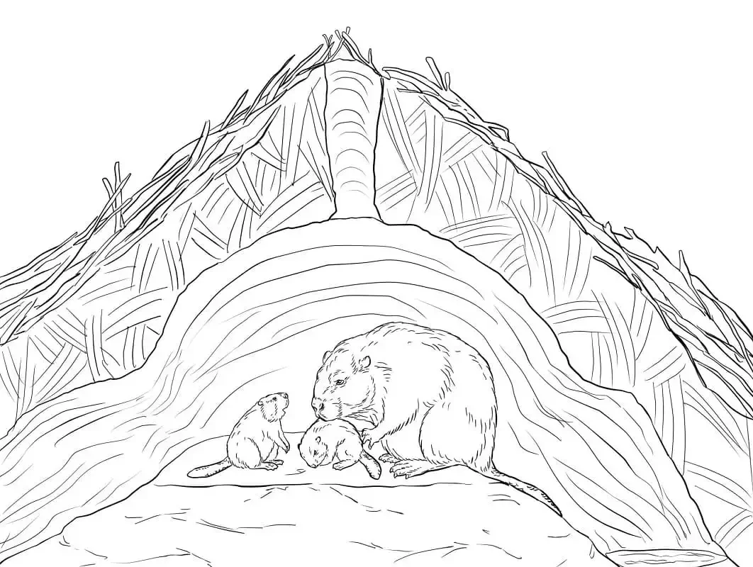 Мишка спит раскраска для детей