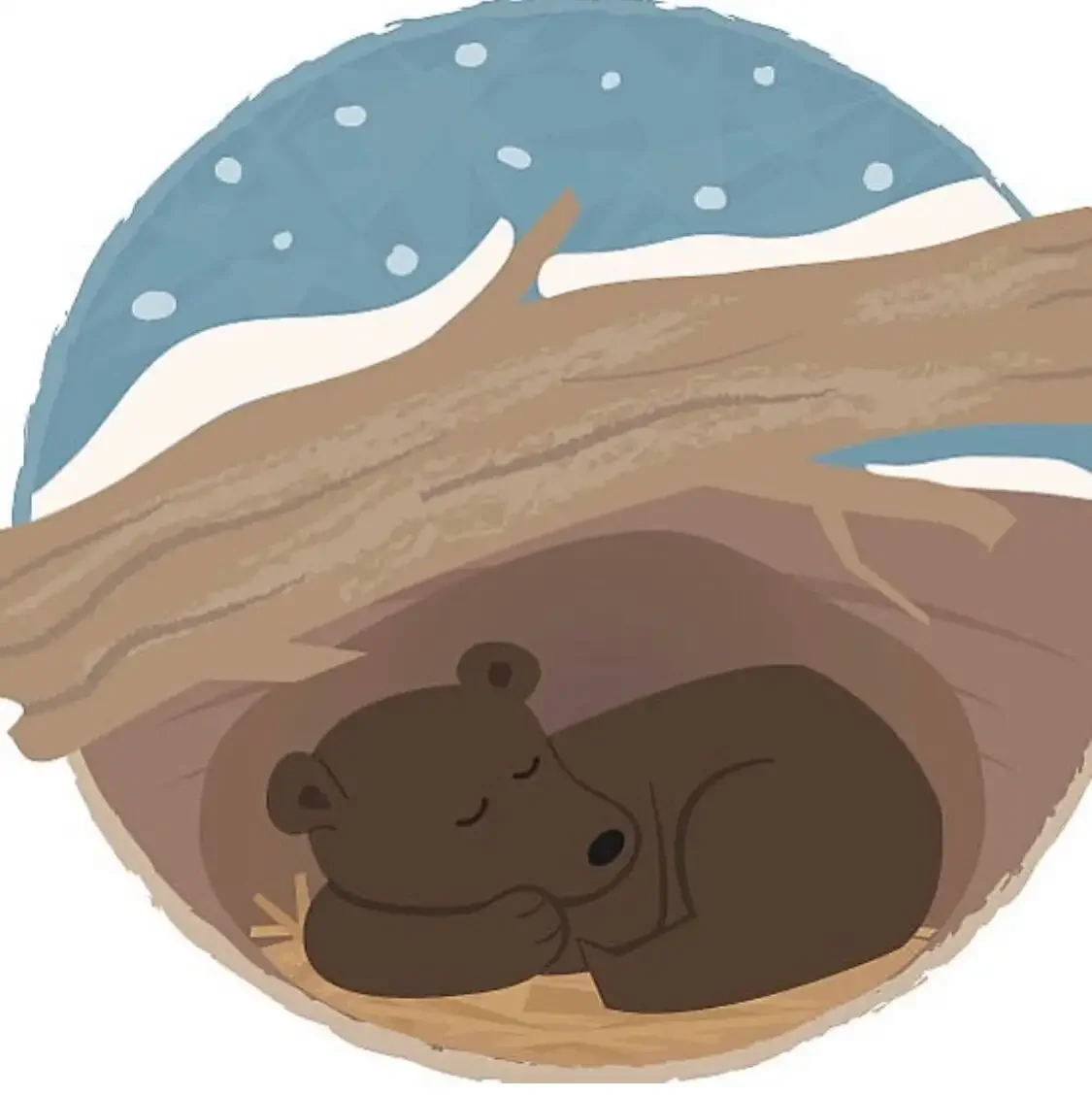 Раскраска Медведица с медвежатами