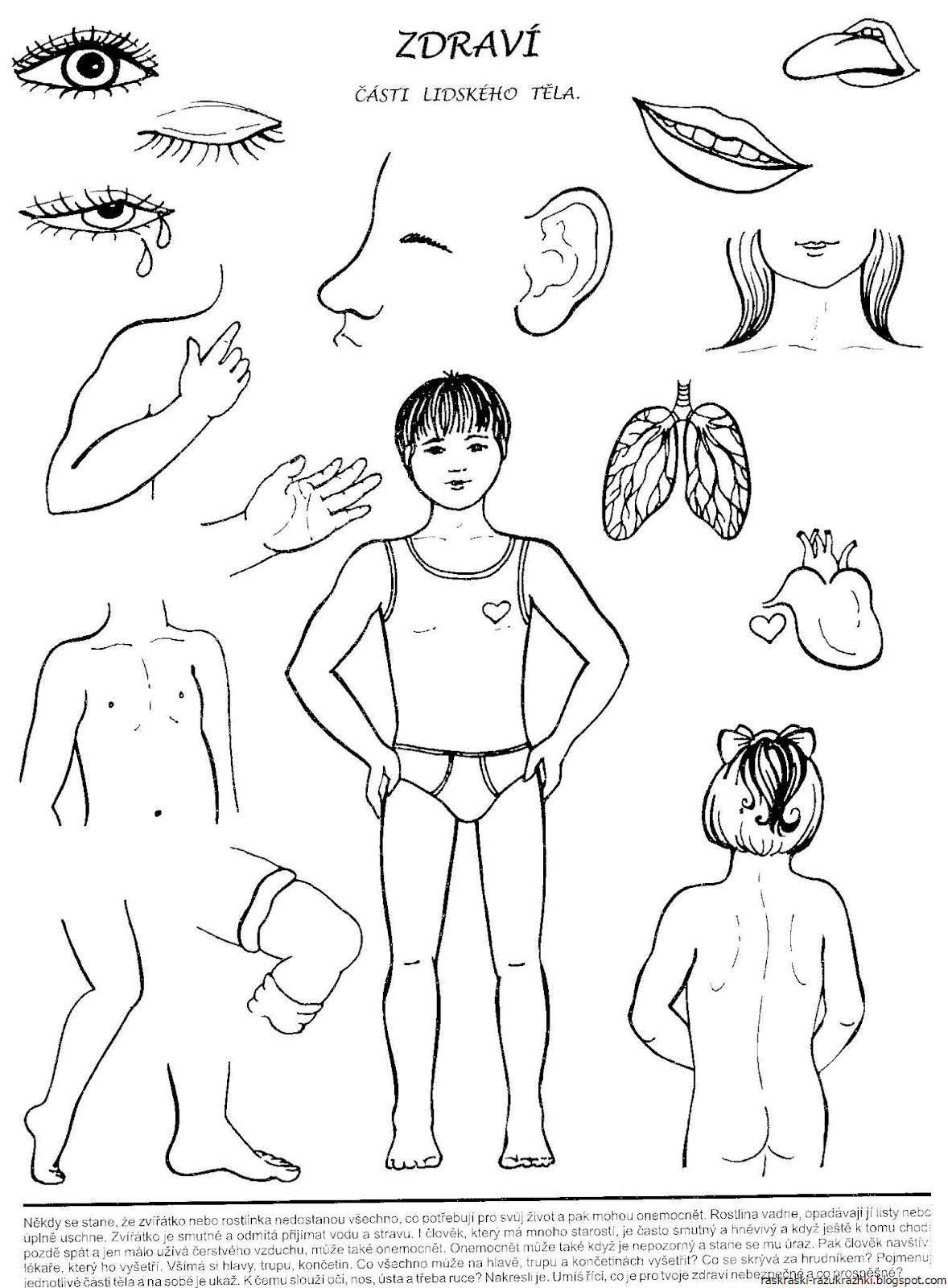 Макет ребенка для рисования одежды