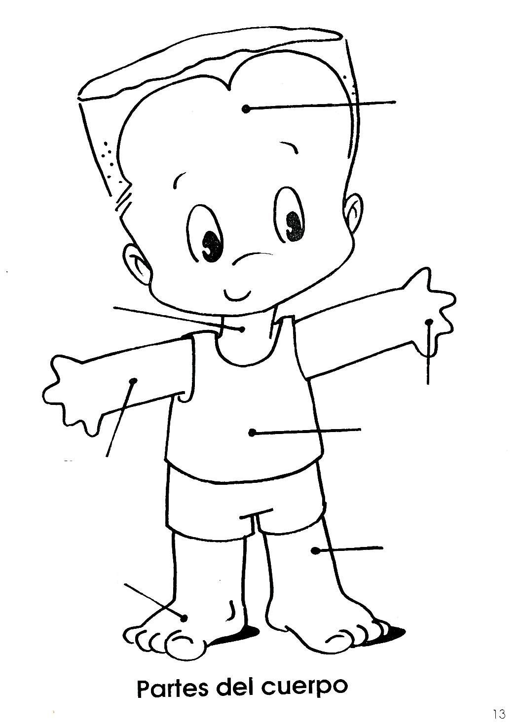 Части тела раскраска