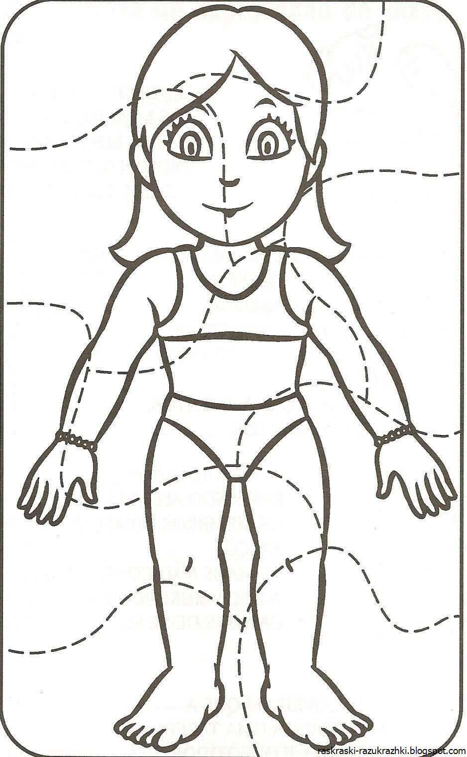 Части тела человека для детей