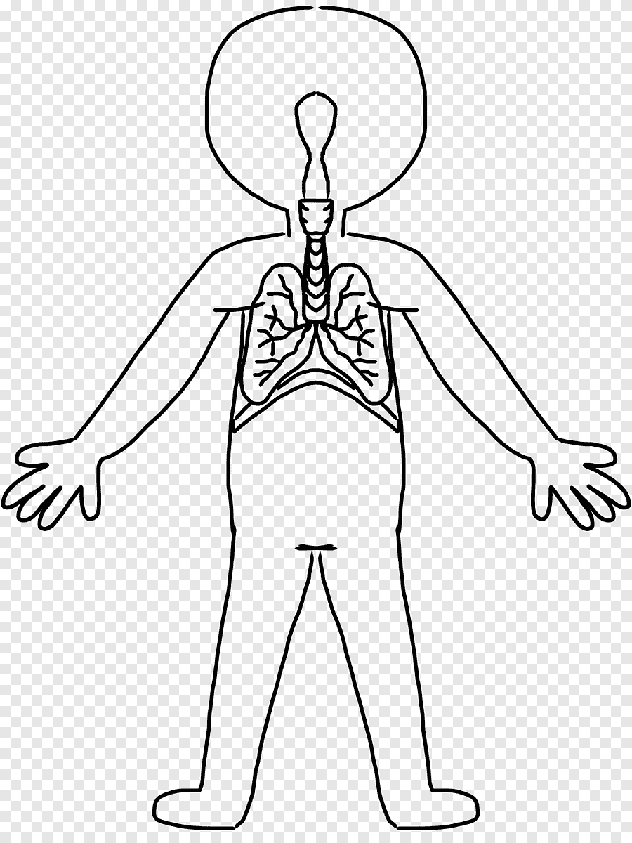 Тело ребенка