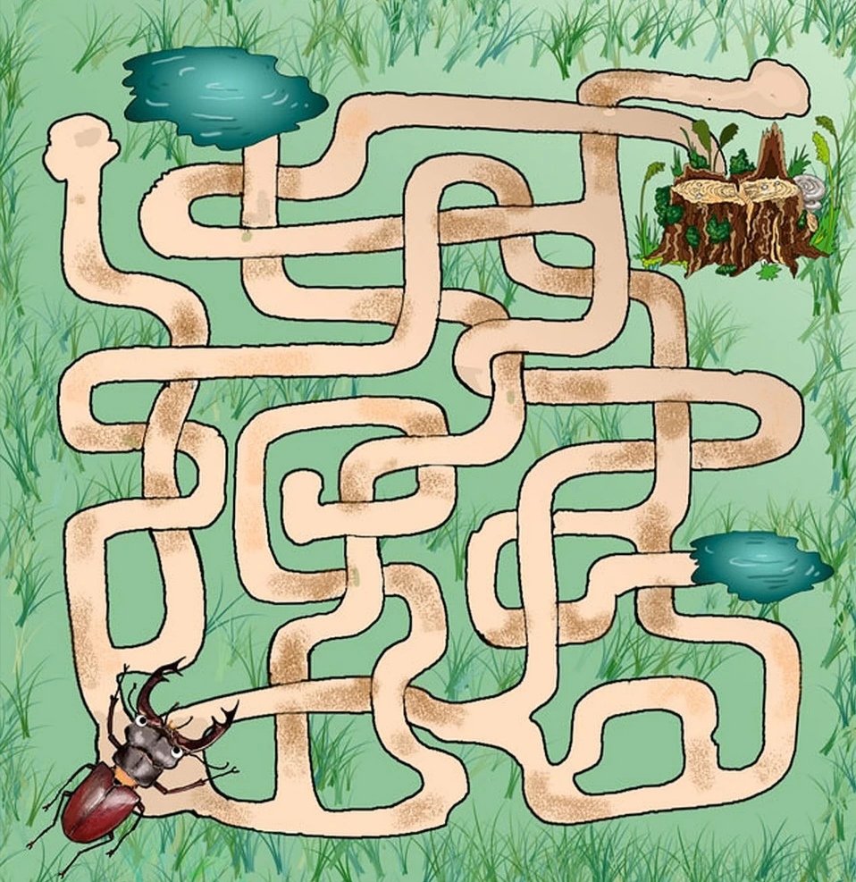 Дом муравьев для дошкольников