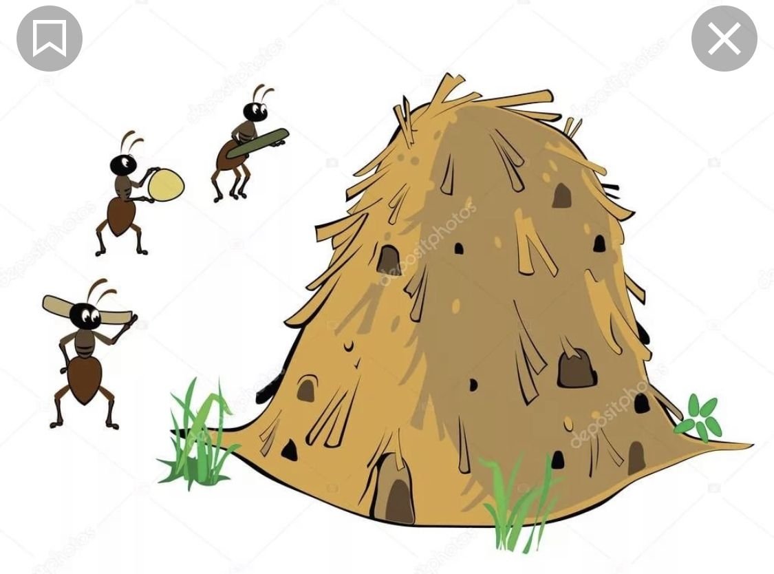 Улей раскраска для малышей