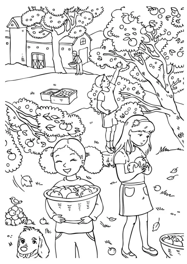 Раскраски урожай для детей 6-7 лет