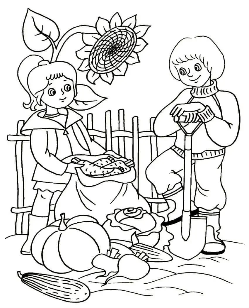 Раскраски сбор урожая осенью для детей