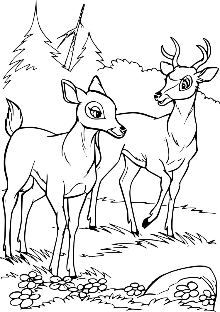 Олень карандашом