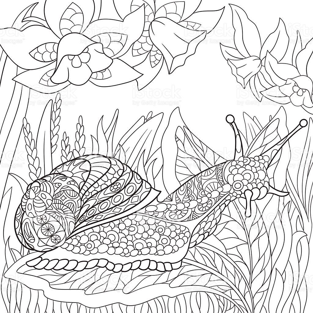 Улитка раскраска