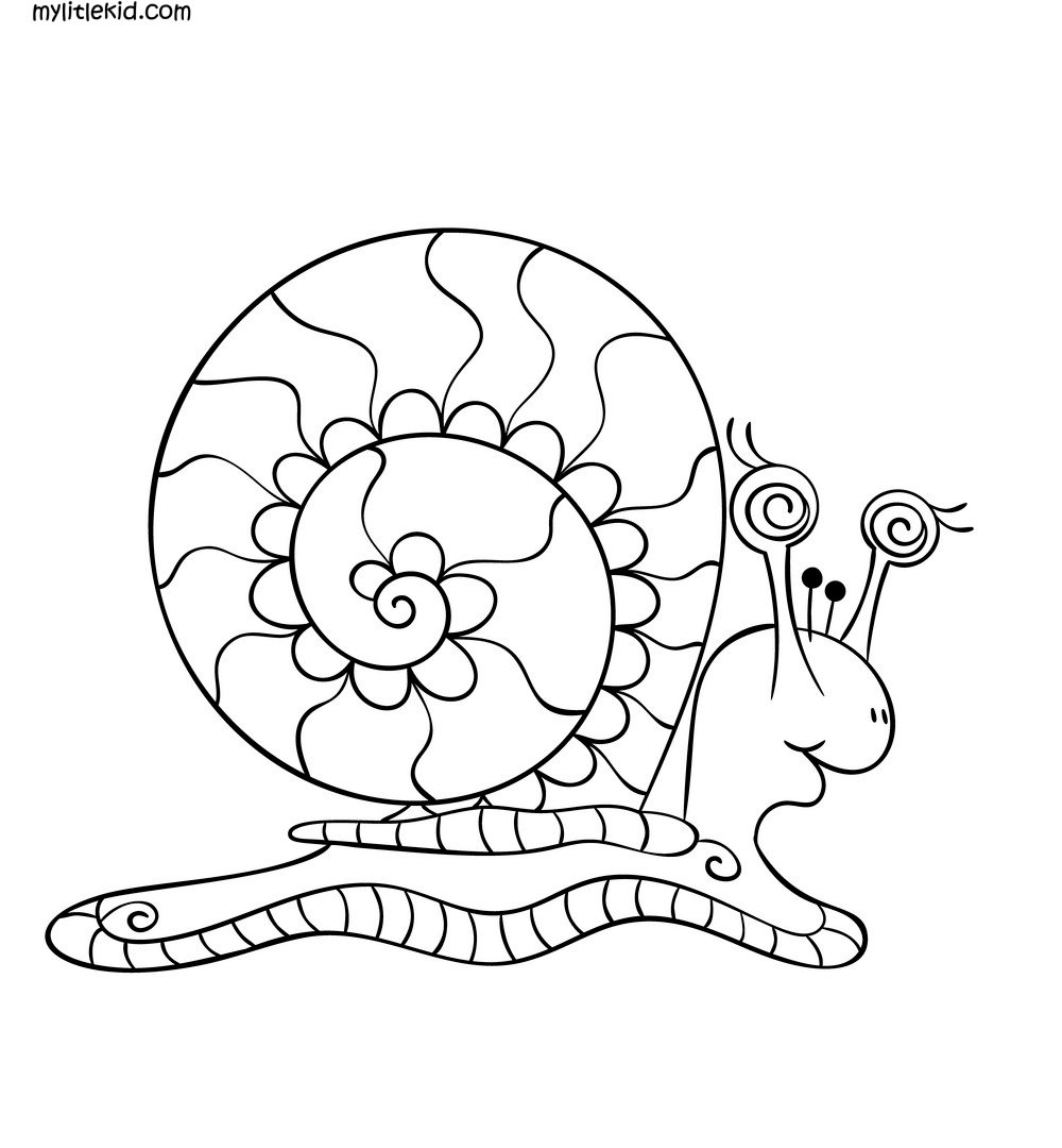 Улитка раскраска для взрослых