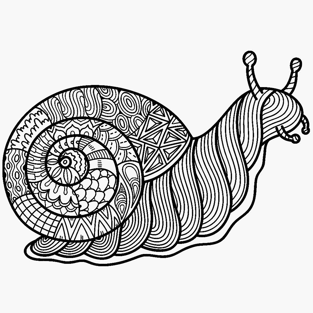 Раскраска улитка Зентангл