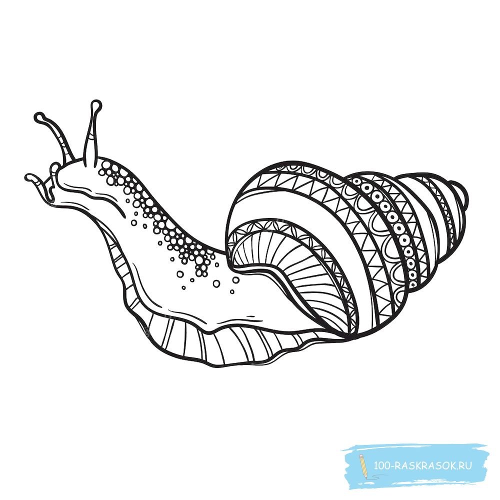 Арт терапия раскраски улитка