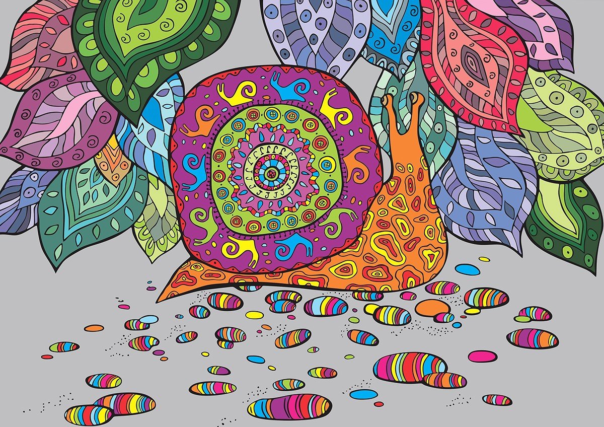 Улитка векторный рисунок