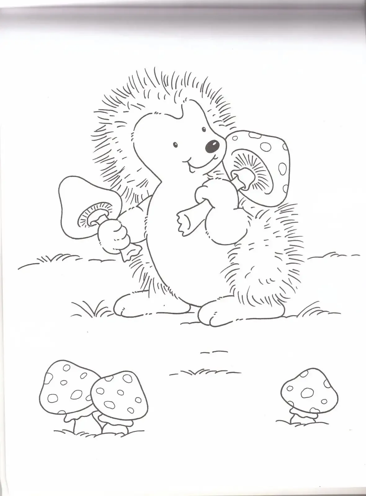 Раскраска Ежик зимует