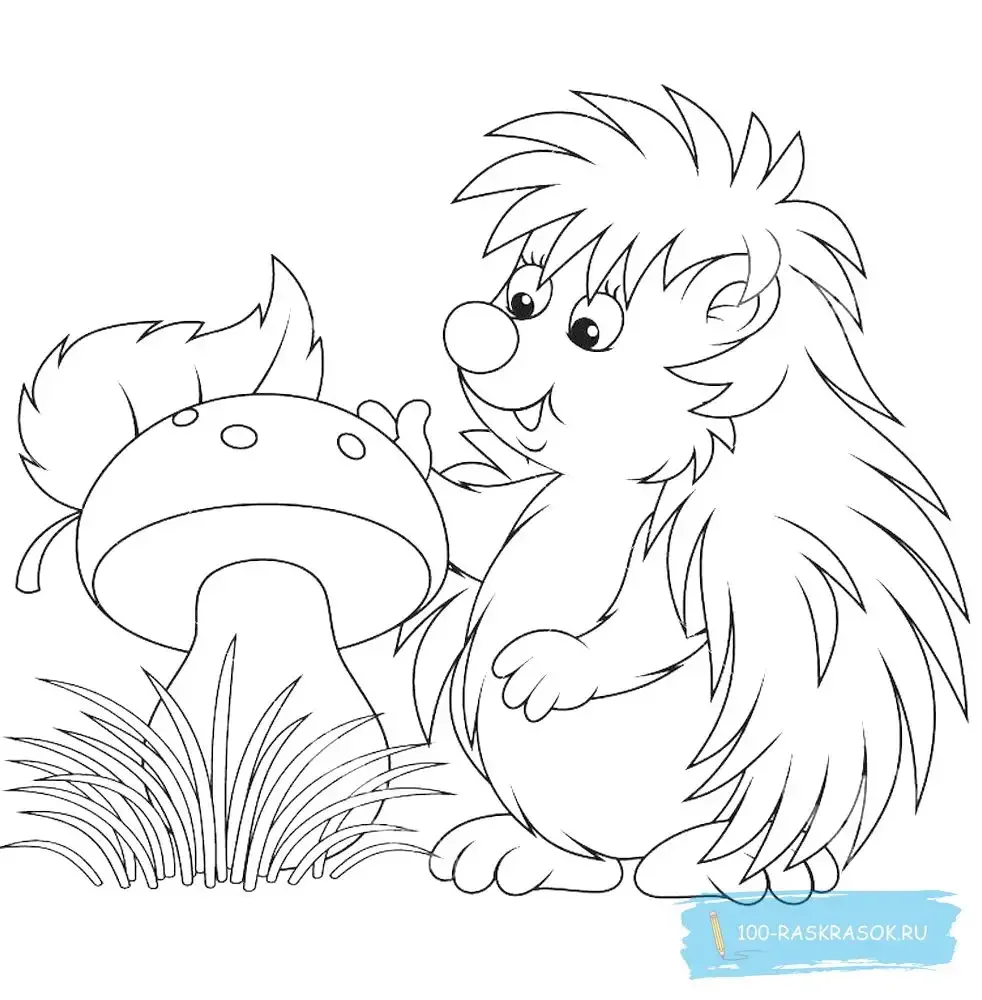Еж с ежатами раскраска