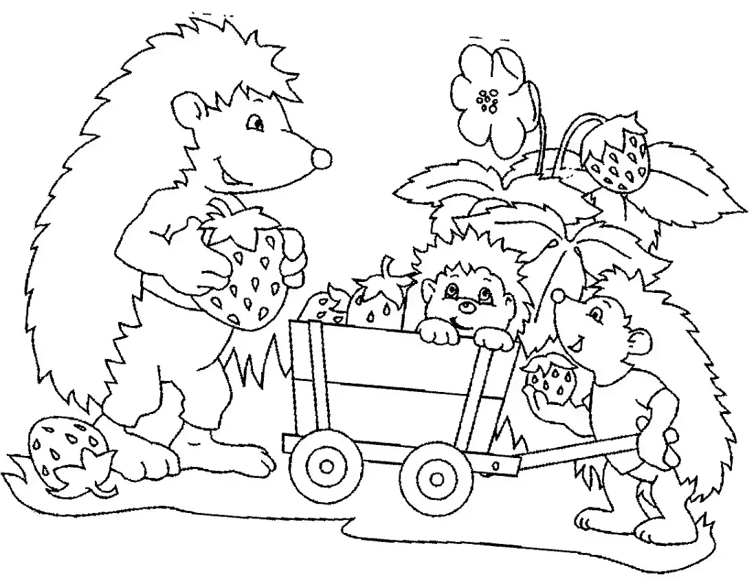 Ежик Мандала