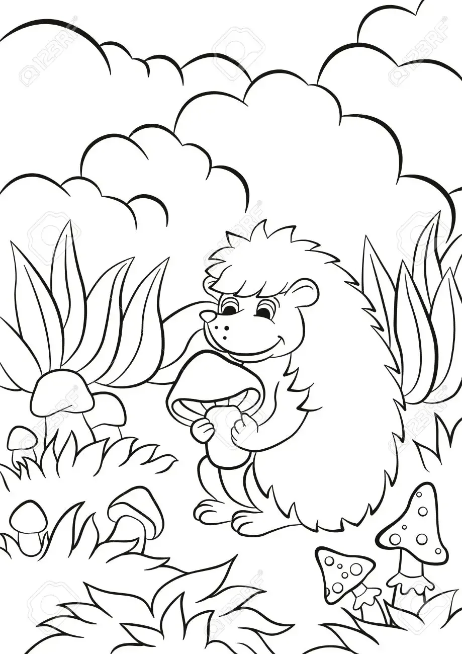 Раскраска антистресс Ежик