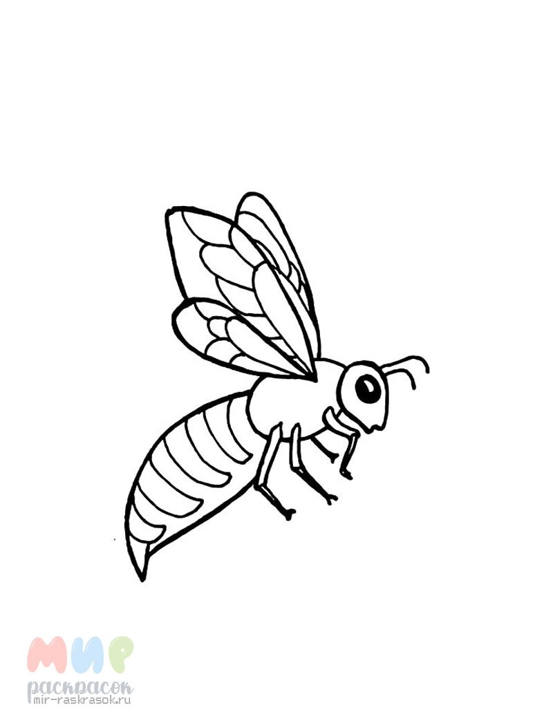Оса раскраска для детей