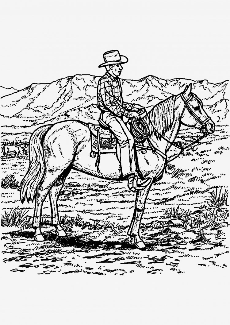 Раскраска ковбой на лошади