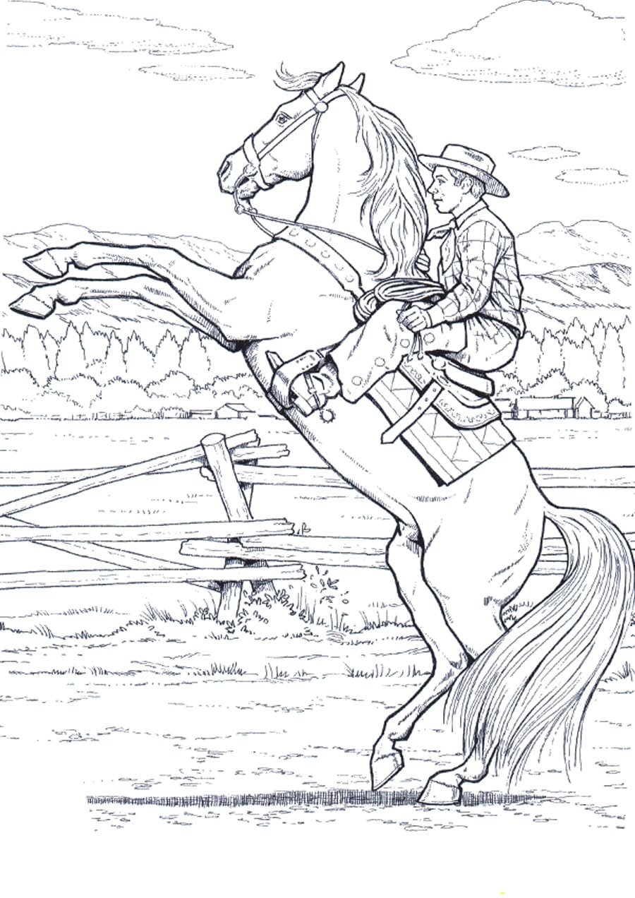 Раскраска Военная лошадь