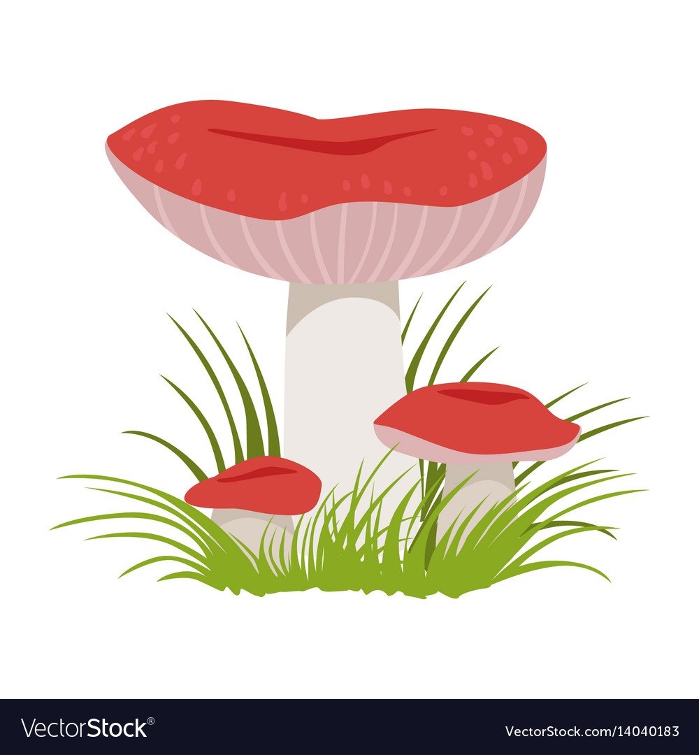 Графомоторика грибы